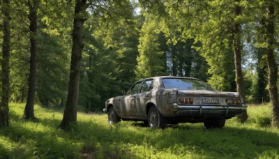 outdoors,day,tree,no humans,grass,ground vehicle,nature,scenery,motor vehicle,forest,car,vehicle focus,wheel,sunlight,sports car