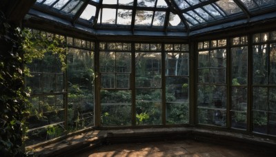 outdoors,day,indoors,tree,dutch angle,no humans,window,sunlight,plant,building,nature,scenery,forest,architecture,ruins,moss,overgrown,leaf