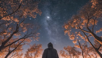 solo,black hair,1boy,jacket,upper body,male focus,outdoors,sky,hood,from behind,tree,night,leaf,from below,star (sky),nature,night sky,scenery,starry sky,facing away,autumn leaves,cloud,hood down,branch,autumn,shooting star,milky way