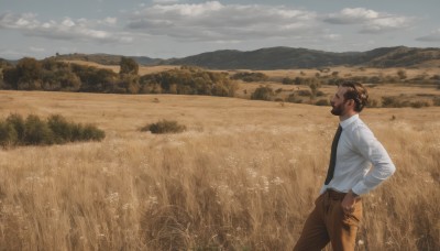 solo,short hair,brown hair,shirt,black hair,long sleeves,1boy,standing,white shirt,male focus,outdoors,necktie,sky,day,collared shirt,belt,pants,cloud,dark skin,from side,tree,hand on hip,profile,facial hair,dark-skinned male,cloudy sky,grass,nature,scenery,black necktie,hands on hips,mountain,field,brown pants,landscape,closed mouth,realistic,shirt tucked in