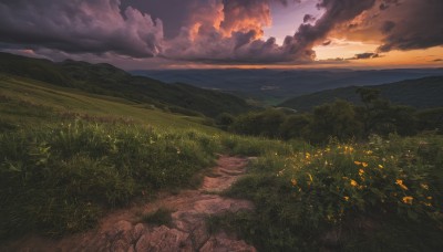 flower,outdoors,sky,cloud,water,tree,no humans,cloudy sky,grass,nature,scenery,forest,smoke,sunset,mountain,horizon,road,field,river,landscape,path,hill,ocean,sunlight,evening,mountainous horizon