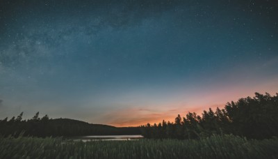 outdoors,sky,cloud,tree,no humans,night,grass,star (sky),nature,night sky,scenery,forest,starry sky,sunset,twilight,gradient sky,hill,landscape