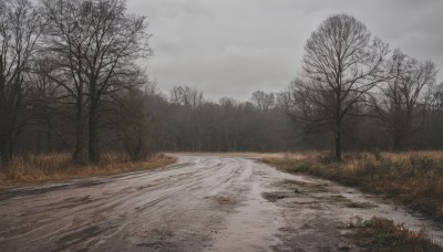 outdoors,sky,day,cloud,tree,no humans,cloudy sky,grass,nature,scenery,forest,road,bare tree,landscape,fog,grey sky,path,overcast,snow