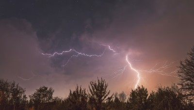 outdoors,sky,cloud,tree,no humans,night,cloudy sky,star (sky),nature,night sky,scenery,forest,starry sky,electricity,lightning,grass,dark