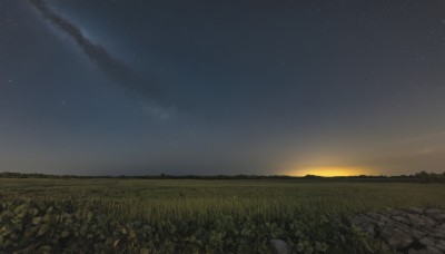 outdoors,sky,cloud,tree,no humans,night,grass,plant,star (sky),nature,night sky,scenery,starry sky,sunset,rock,field,landscape,sunrise,bird,horizon