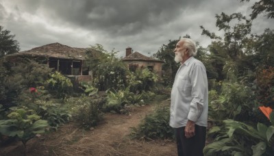 solo,shirt,long sleeves,1boy,standing,white shirt,flower,white hair,male focus,outdoors,sky,collared shirt,pants,cloud,from side,tree,facial hair,scar,bandages,black pants,cloudy sky,plant,building,scenery,beard,realistic,mustache,manly,house,old,old man,closed mouth,grey hair,day,profile,leaf,grass,nature,bush,grey sky,garden