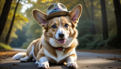 HQ,solo,looking at viewer,open mouth,hat,brown eyes,outdoors,day,tongue,tongue out,blurry,collar,tree,no humans,depth of field,blurry background,animal,nature,dog,realistic,animal focus,blue eyes,full body,signature,leaf,sunlight,claws,forest,animal collar