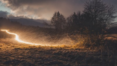 outdoors,sky,cloud,tree,no humans,cloudy sky,grass,nature,scenery,forest,mountain,bare tree,lightning,landscape,field