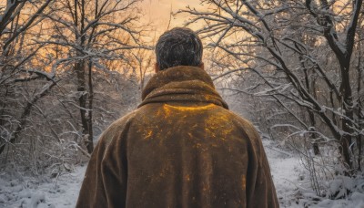 solo,short hair,black hair,1boy,upper body,weapon,male focus,outdoors,from behind,cape,tree,gun,military,nature,cloak,rifle,snow,forest,facing away,winter,bare tree,imperial japanese army,japanese clothes,sky,kimono,scarf,leaf,back,scenery,snowing,autumn leaves,haori,autumn,brown scarf