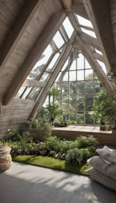 outdoors,day,indoors,tree,no humans,window,shadow,sunlight,grass,plant,building,scenery,potted plant,ruins,flower pot,overgrown,basket,bush,garden