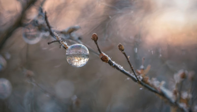 blurry, no humans, depth of field, scenery, fantasy, planet