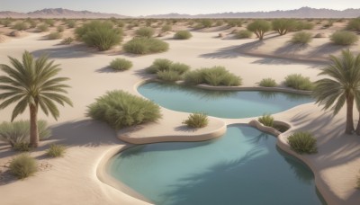 outdoors,day,water,tree,no humans,shadow,ocean,beach,grass,nature,scenery,sand,palm tree,shade,shore,sky,cloud,plant,forest,reflection,mountain,road,bush,landscape,lake,desert