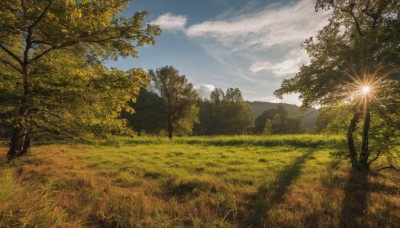 outdoors,sky,day,cloud,tree,blue sky,no humans,sunlight,cloudy sky,grass,nature,scenery,forest,mountain,road,field,landscape,path,sun