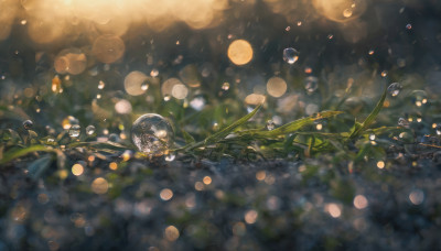 outdoors, blurry, no humans, night, depth of field, leaf, moon, plant, scenery, bokeh