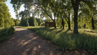 outdoors,sky,day,tree,blue sky,no humans,shadow,sunlight,grass,plant,nature,scenery,forest,road,bench,bush,dappled sunlight,path,cloud,shade,field