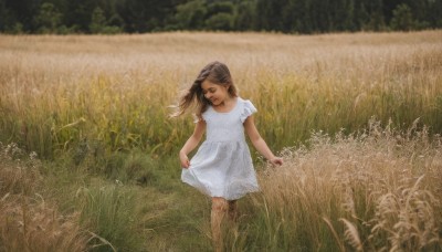 1girl,solo,long hair,brown hair,dress,closed mouth,standing,closed eyes,short sleeves,outdoors,day,white dress,blurry,depth of field,blurry background,feet out of frame,grass,child,scenery,realistic,skirt hold,field,nature,female child,photo background