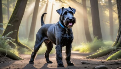 HQ,solo,open mouth,full body,outdoors,day,tongue,tongue out,blurry,collar,tree,no humans,animal,sunlight,grass,plant,nature,forest,dog,realistic,leash,animal focus,animal collar,standing,saliva,blurry background,rock