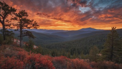 outdoors,sky,cloud,tree,no humans,leaf,cloudy sky,grass,nature,scenery,forest,sunset,mountain,road,autumn leaves,autumn,landscape,mountainous horizon,red sky,signature,field,evening,orange sky,hill