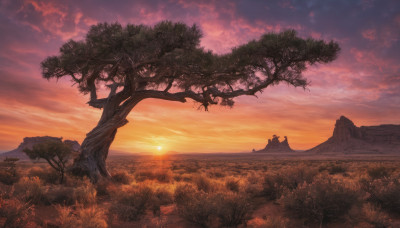 outdoors, sky, cloud, tree, no humans, cloudy sky, grass, nature, scenery, sunset, mountain, sun, landscape