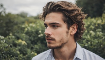 solo,short hair,blue eyes,brown hair,shirt,1boy,closed mouth,white shirt,male focus,outdoors,day,collared shirt,blurry,looking to the side,blurry background,facial hair,portrait,beard,curly hair,realistic,mustache,brown eyes,striped,lips,depth of field,looking away,striped shirt,nose,stubble,bush,looking afar