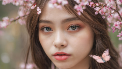 1girl, solo, long hair, looking at viewer, brown hair, brown eyes, flower, parted lips, blurry, lips, eyelashes, depth of field, blurry background, bug, cherry blossoms, butterfly, portrait, close-up, realistic, nose