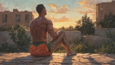 solo,short hair,black hair,1boy,sitting,full body,male focus,outdoors,sky,shorts,barefoot,cloud,dark skin,from behind,tree,muscular,back,dark-skinned male,cloudy sky,grass,plant,muscular male,building,scenery,bara,topless male,sunset,bush,house,leg hair,thighs,mature male,male underwear,undercut