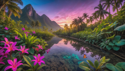 flower, outdoors, sky, cloud, water, tree, no humans, bug, plant, butterfly, star (sky), nature, scenery, starry sky, reflection, sunset, mountain, palm tree