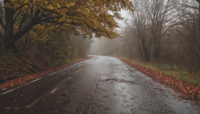 outdoors,day,tree,no humans,leaf,sunlight,grass,building,nature,scenery,forest,road,autumn leaves,bare tree,street,autumn,path,pavement,sky,cloud,light rays,realistic,landscape