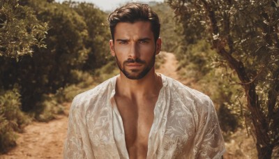 solo,looking at viewer,short hair,brown hair,shirt,black hair,1boy,brown eyes,closed mouth,white shirt,upper body,male focus,outdoors,open clothes,collared shirt,dark skin,blurry,tree,open shirt,muscular,blurry background,facial hair,dark-skinned male,thick eyebrows,pectorals,muscular male,nature,bara,beard,mature male,realistic,mustache,partially unbuttoned,chest hair,pectoral cleavage,photo background,eyebrow cut,smile,day,large pectorals