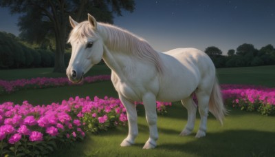 solo,full body,flower,outdoors,sky,tree,no humans,night,animal,grass,star (sky),nature,night sky,scenery,pink flower,starry sky,realistic,field,animal focus,horse,unicorn,standing,bush,flower field