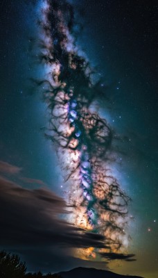 flower,outdoors,sky,cloud,water,tree,no humans,night,star (sky),nature,night sky,scenery,forest,starry sky,reflection,mountain,landscape,lake,milky way,1girl,solo,glowing,plant,silhouette