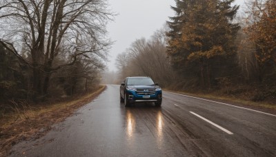 outdoors,sky,day,tree,no humans,ground vehicle,nature,scenery,motor vehicle,forest,realistic,car,road,vehicle focus,bare tree,street,sports car,cloud,reflection