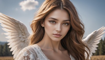 1girl,solo,long hair,looking at viewer,brown hair,brown eyes,closed mouth,collarbone,upper body,outdoors,wings,sky,day,cloud,blurry,blue sky,lips,eyelashes,depth of field,blurry background,wavy hair,portrait,feathered wings,angel wings,realistic,nose,white wings,angel