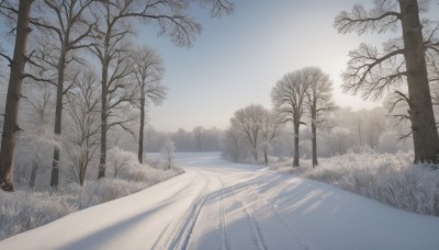 outdoors,sky,day,cloud,tree,blue sky,no humans,sunlight,grass,nature,scenery,forest,mountain,road,bare tree,landscape,path,water,snow,reflection,winter,fog