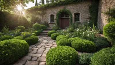 flower,outdoors,day,tree,no humans,window,sunlight,grass,plant,building,nature,scenery,forest,light rays,stairs,door,road,bush,sunbeam,ruins,house,path,moss,garden