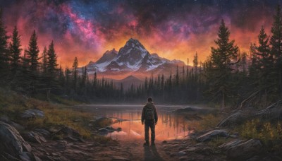 solo,short hair,black hair,1boy,standing,jacket,male focus,boots,outdoors,sky,pants,cloud,signature,hood,water,bag,from behind,tree,night,backpack,grass,star (sky),nature,night sky,scenery,snow,forest,starry sky,reflection,sunset,rock,mountain,facing away,wide shot,winter,river,mountainous horizon,lake,pine tree,1other,landscape,ambiguous gender,milky way