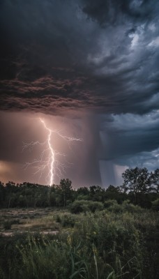 outdoors,sky,cloud,water,tree,no humans,sunlight,cloudy sky,grass,plant,nature,scenery,forest,mountain,electricity,lightning,landscape,night,torii