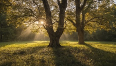 outdoors,sky,day,signature,tree,dutch angle,no humans,leaf,sunlight,grass,nature,scenery,forest,light rays,road,sunbeam,landscape,path,field,dappled sunlight