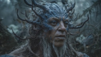 solo,long hair,looking at viewer,blue eyes,1boy,closed mouth,grey hair,male focus,outdoors,horns,teeth,signature,blurry,blurry background,facial hair,portrait,beard,realistic,antlers,looking away,bug,nature,mole under mouth,branch