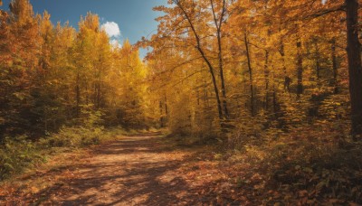 outdoors,sky,day,cloud,tree,blue sky,dutch angle,no humans,leaf,moon,sunlight,grass,nature,scenery,forest,sun,road,autumn leaves,maple leaf,autumn,path,landscape