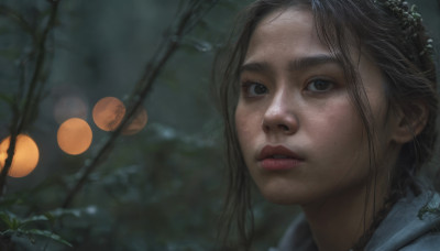 1girl, solo, long hair, looking at viewer, black hair, hair ornament, outdoors, parted lips, blurry, black eyes, lips, depth of field, blurry background, portrait, freckles, realistic, nose, branch