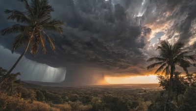 outdoors,sky,cloud,water,tree,dutch angle,no humans,ocean,beach,sunlight,cloudy sky,plant,nature,scenery,forest,sunset,sand,palm tree,sun,horizon,landscape,island,grass,waterfall,cliff