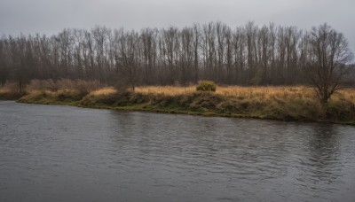 outdoors,sky,day,cloud,water,tree,no humans,traditional media,grass,nature,scenery,forest,field,bare tree,river,landscape,fog,grey sky,overcast,cloudy sky,reflection,lake