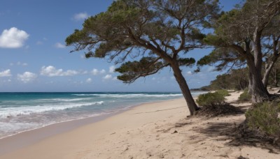 outdoors,sky,day,cloud,water,tree,blue sky,no humans,ocean,beach,cloudy sky,grass,nature,scenery,sand,palm tree,horizon,shore,waves