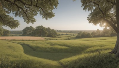 outdoors,sky,day,cloud,tree,blue sky,no humans,sunlight,grass,nature,scenery,forest,mountain,sun,road,field,landscape,path,hill,bush