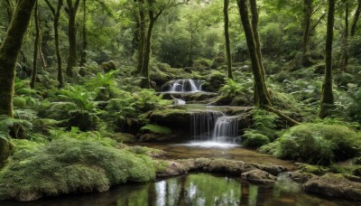 outdoors,day,water,tree,no humans,traditional media,sunlight,grass,plant,nature,scenery,forest,rock,green theme,river,waterfall,landscape,moss,stream