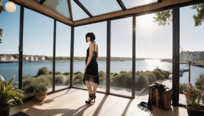 1girl,solo,looking at viewer,short hair,black hair,dress,bare shoulders,jewelry,standing,flower,outdoors,sky,shoes,sleeveless,day,looking back,indoors,water,from behind,black footwear,black dress,high heels,tree,window,profile,sleeveless dress,shadow,ocean,sandals,plant,building,scenery,reflection,city,spaghetti strap,potted plant,cityscape,wide shot,cactus,bangs,blunt bangs,bob cut,suitcase