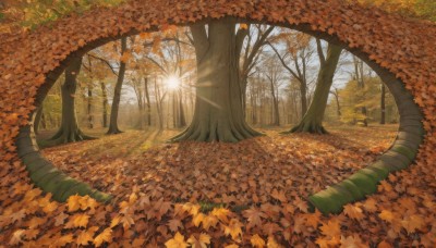 outdoors,day,tree,no humans,leaf,sunlight,nature,scenery,forest,light rays,road,autumn leaves,maple leaf,autumn,falling leaves,path