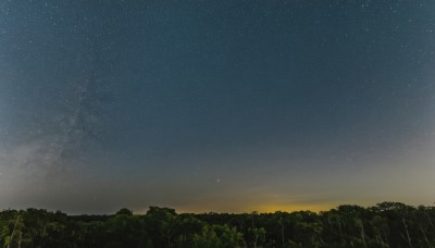 outdoors,sky,cloud,tree,no humans,night,grass,star (sky),nature,night sky,scenery,forest,starry sky,sunset,gradient sky,signature,star (symbol)