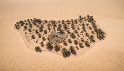 outdoors,artist name,water,tree,no humans,shadow,leaf,beach,plant,scenery,sand,palm tree,palm leaf,fruit,ocean,from above,nature,bush,shore,desert